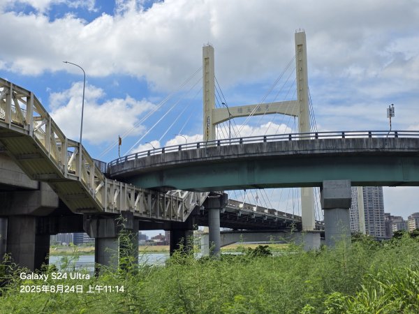 2025-08-24臺北大縱走第八段：捷運動物園站至捷運關渡站2869315