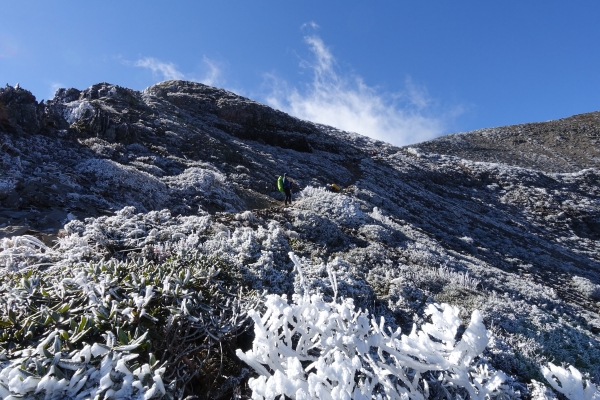 1051216~19雪山主東北下翠池80597