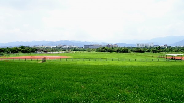 山佳荷花池2172759