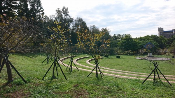 新竹麗池公園430313