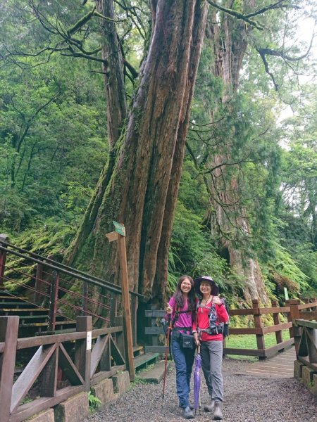 福巴越嶺古道上拉拉山（達觀山）1748334