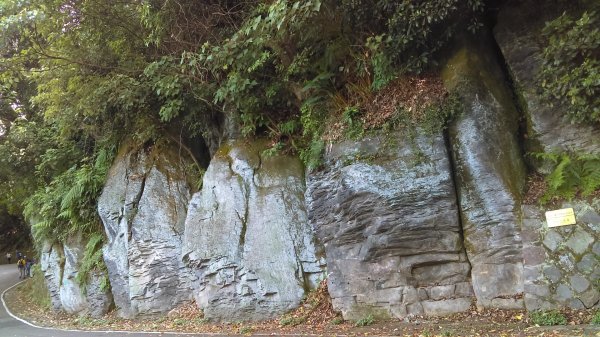 半嶺步道→陽峰古道→陽明公園→前山公園1028478