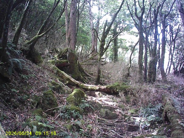 兒玉(自忠)山、東水山、東水山西峰及特富野古道O繞。3061785