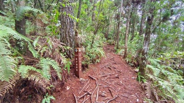 馬崙山之美1756009