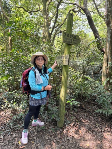 八結古道 頭寮山 慈湖3040534