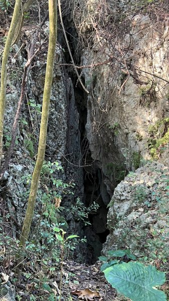 柴山石灰岩洞穴探險、泰國谷、一簾幽夢1578264