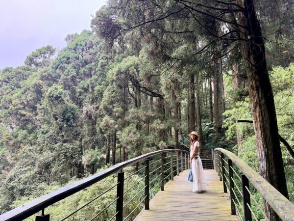 奮起湖 奮起步道  老街 老老街3119285
