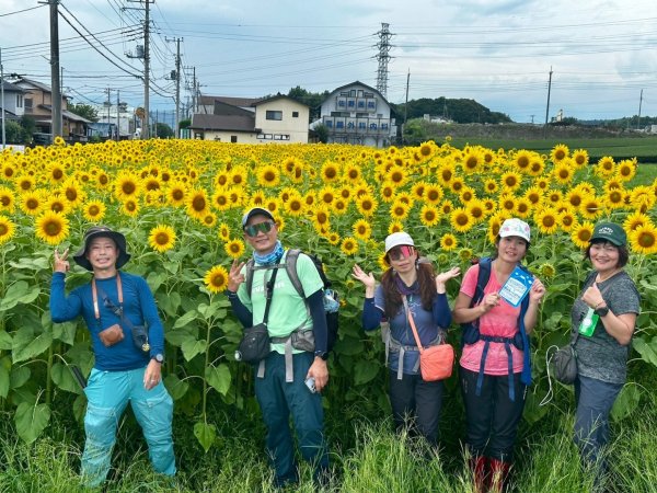 富士山御殿場線~海拔0至37762559058