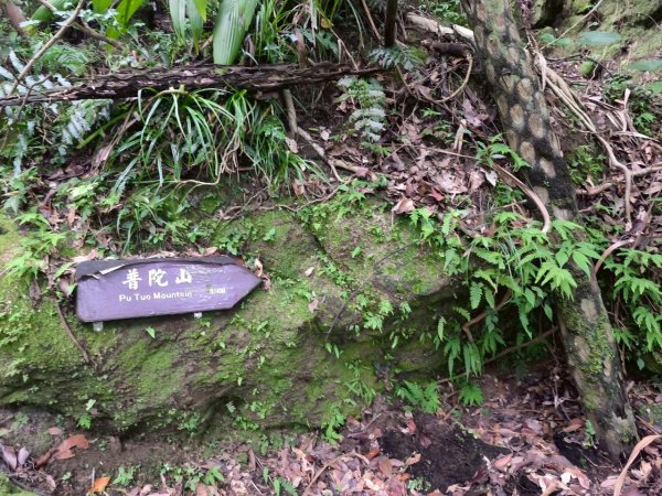 微笑山⛰️線-大棟-二格山-五分山-天上山-鳶山💎12條步道完成💙2836450