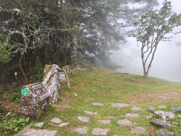 [山海圳_聖山之路_第二段1/4] 2026_0802 鹿林山3109123