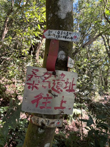 20251116鳴海山、網子山登山步道2938404