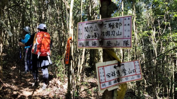 埔里六秀-凌霄殿上關刀山2420351