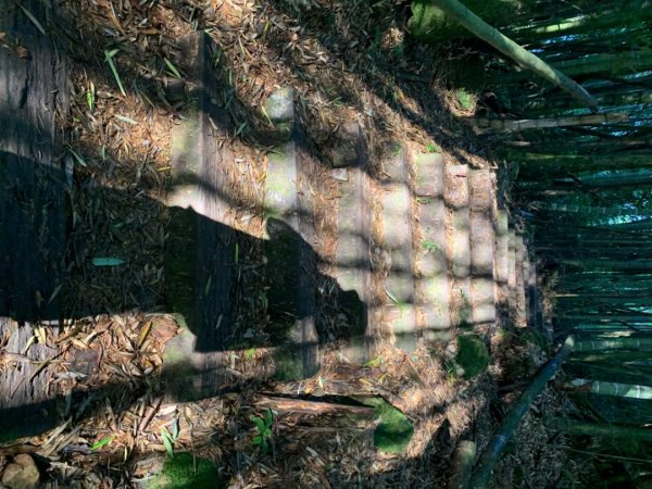 大凍山（小百岳）1117301