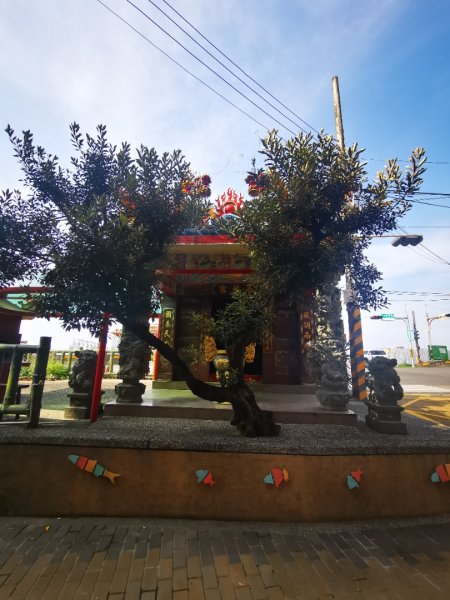 烈日當頭的南子吝2810059