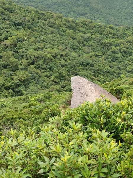 金明山，柯子林2221458