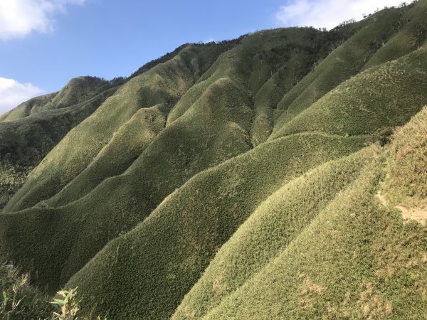 聖母登山步道(抹茶山)1387236