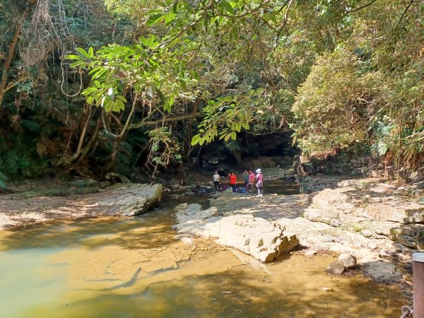 【南投魚池】澀水森林步道2933051