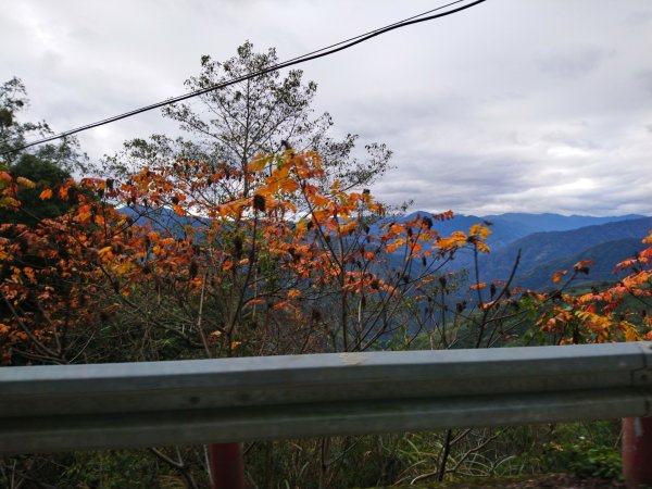 李崠山、泰平山、馬望僧侶山O走1211311