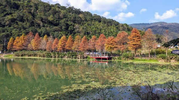 望龍埤,鎮頭山,蜊埤湖2391874