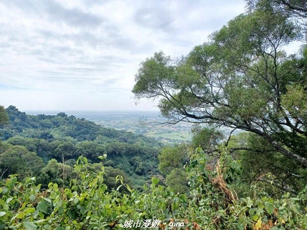 【彰化田中】蓊鬱森林有點陡。 田中森林登山步道1925574