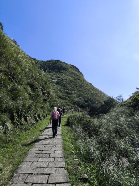 20251108草嶺古道2936128