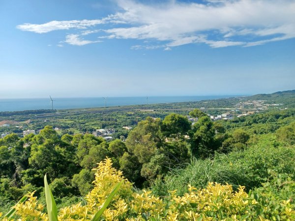 【苗栗新竹】通霄神社x通霄虎頭山步道x新竹香山濕地賞蟹步道2925431