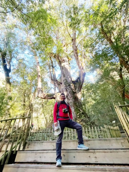 20260104司馬庫斯 &巨木群攀登2978845