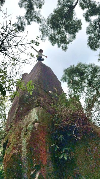 圓通寺烘爐地登山步道大O走3007158