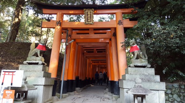 【日本】京都。稻荷山1432278