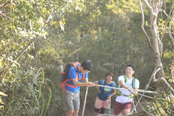 谷關七雄之東卯山步道598922