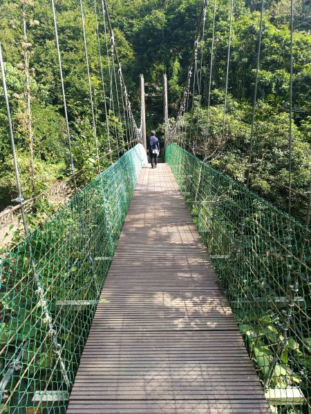 嘉義獨立山2983728