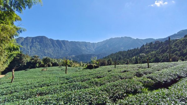 溪頭山/貓冬望山/大崙山/竹崙山/武岫農圃1931435