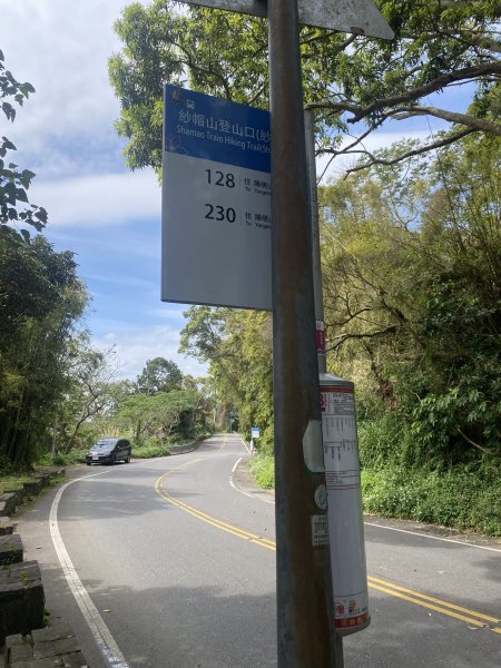 如墨暈染的春日邂逅｜中山樓墨染櫻 × 北投步道探花記2853886