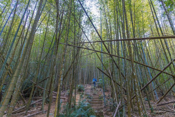 日月潭最高峰-水社大山3025302