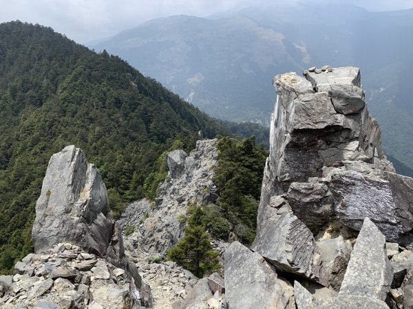 【百岳】奇萊北壁下屏風，驚險刺激的旅程2392081