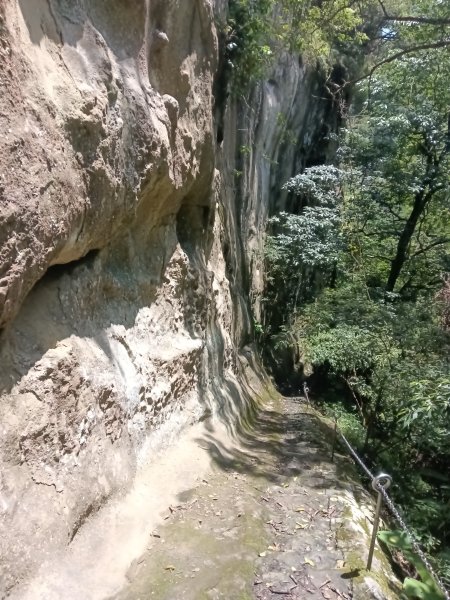 平溪區東勢格越嶺古道+孝子山步道(慈恩嶺+慈母峰)探花(艷紅鹿子百合)路線O型2848664