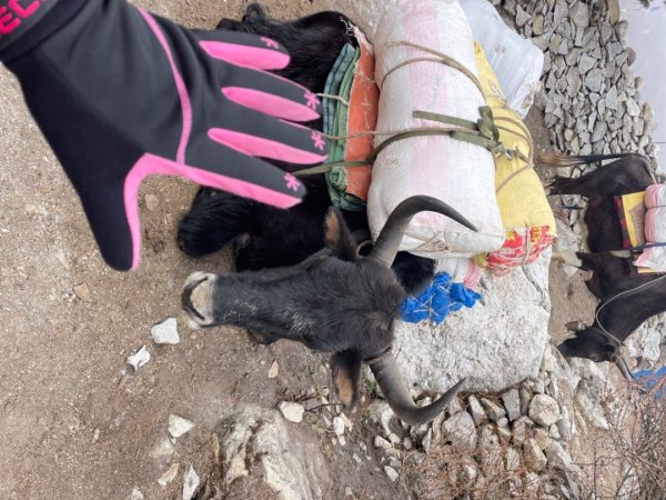 尼泊爾聖母峰EBC基地營❤️風景篇2790980