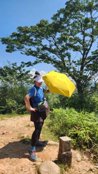 微笑山⛰️線-大棟-二格山-五分山-天上山-鳶山💎12條步道完成💙2834142