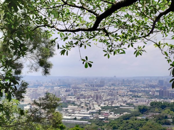 20250609 初探三汀山2806297