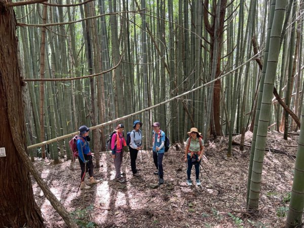 面托油山 清泉山2613013