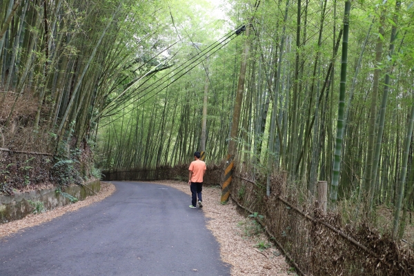 【春夏之際】20150501大雪山林道17848