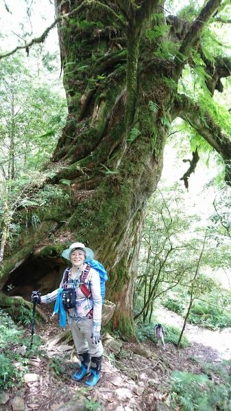 加羅湖-加羅山-偉蛋池-檜木池-140258