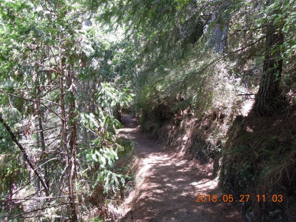 20180827-28_雪山主東852861