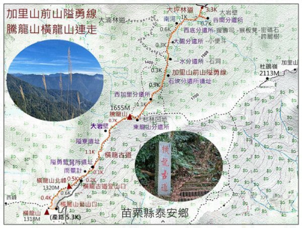 加里山前山隘勇線、騰龍山、橫龍山 連走3027642