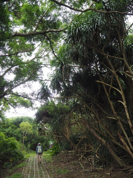 屏東墾丁社頂自然公園20181011430183