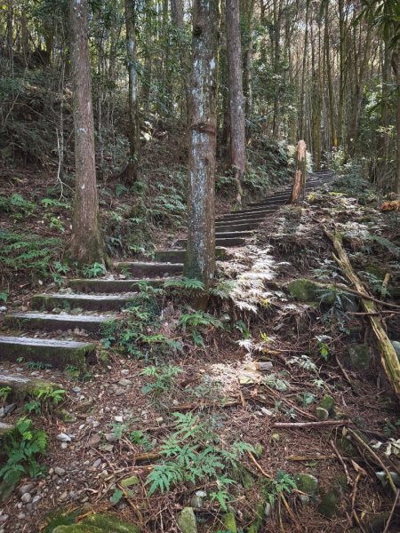 鳶嘴稍來步道賞楓季 ，大雪山門票優惠到12/31！2969584