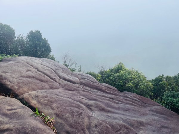 1131225新山夢湖2676519