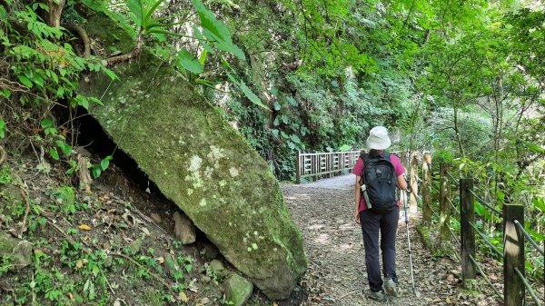 《新竹》古道巡禮｜馬胎古道202207161765481