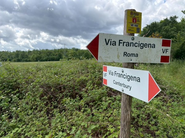 Via Francigena D2: Colle di Val d’Elsa-Monteriggio3072726