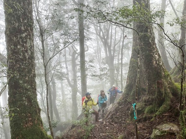 南橫三星 庫哈諾辛山 塔關山 關山嶺山2754840